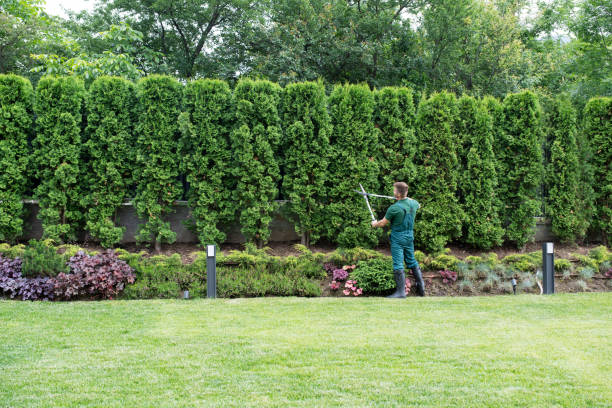 Best Grass Overseeding  in Closter, NJ