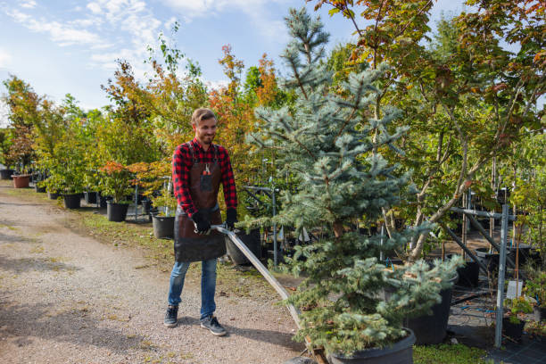 Best Leaf Removal  in Closter, NJ
